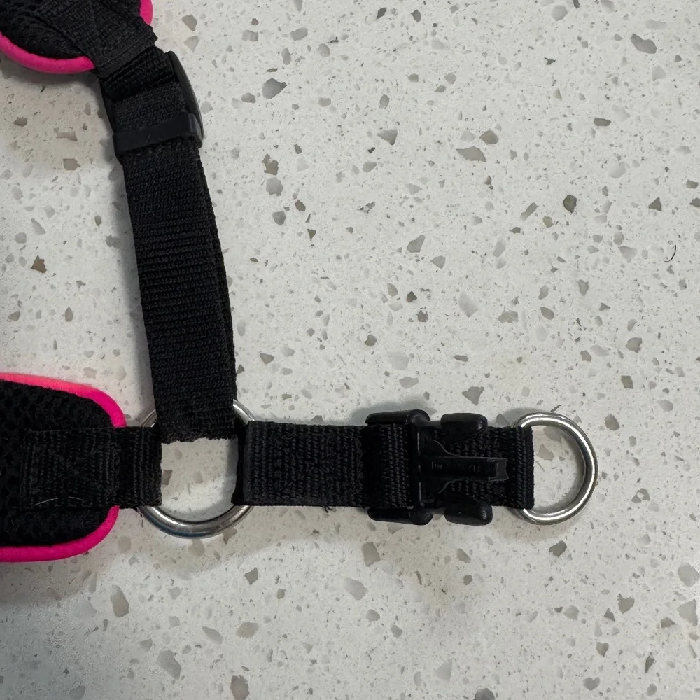 Black Dog Harness